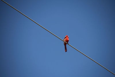 Low angle view of man working on rope against clear blue sky