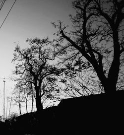 Low angle view of silhouette tree against sky