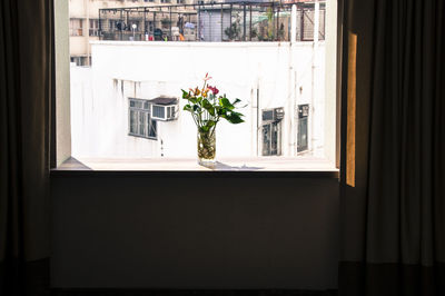 Flowers on window sill