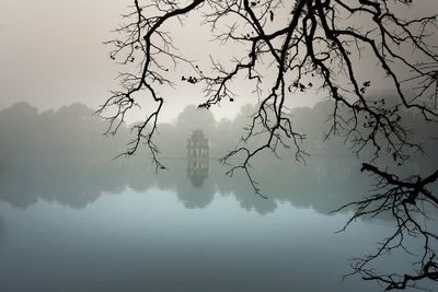 Reflection of tree in lake against sky