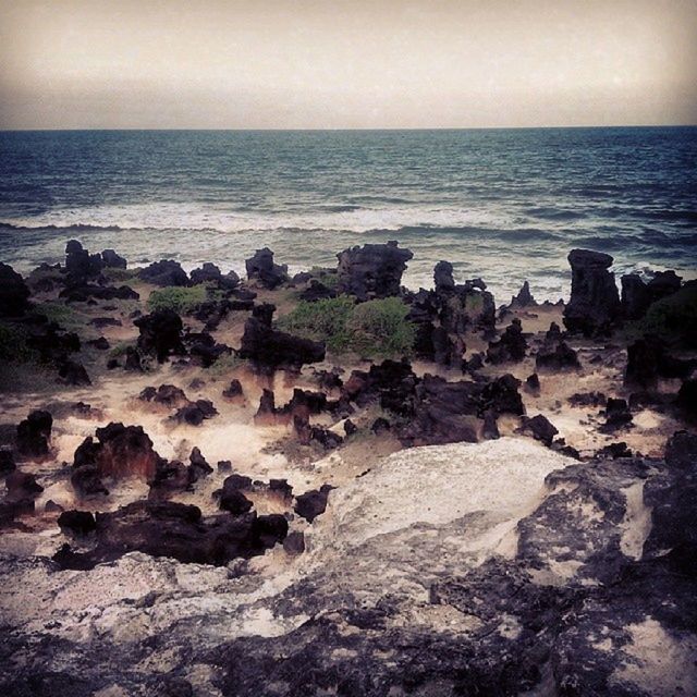 sea, horizon over water, water, tranquil scene, tranquility, scenics, beach, beauty in nature, nature, sky, shore, rock - object, idyllic, rock formation, clear sky, rock, coastline, wave, day, no people