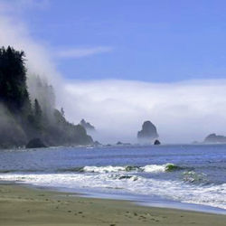 Scenic view of beach