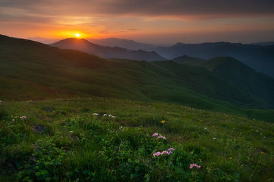 Scenic view of grassy field against sky during sunset