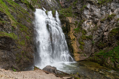 Scenic view of waterfall in forest