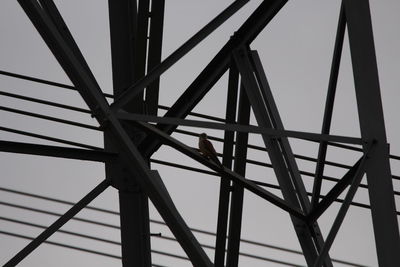 Low angle view of bridge against sky