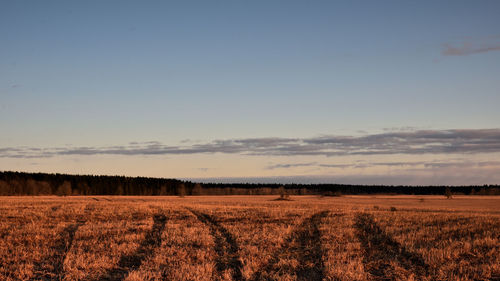 Scenic view of field against sky