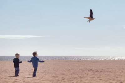 Full length of seagull flying over beach against sky