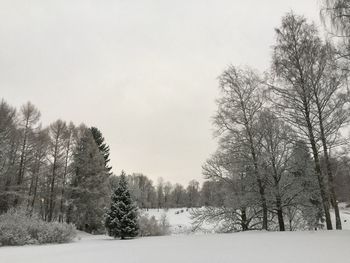 Bare trees on landscape