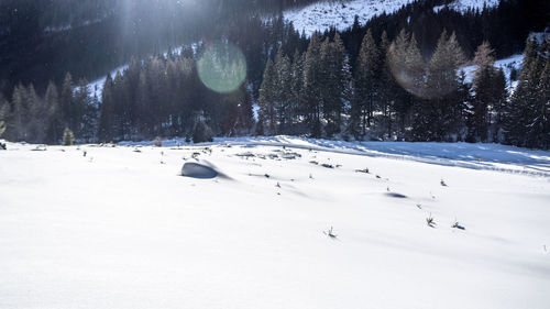 Scenic view of snow covered field