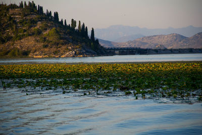 Scenic view of lake against sky during sunset