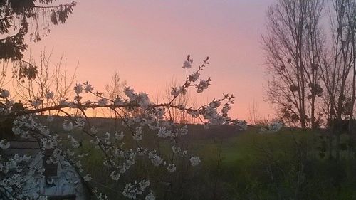 Plants growing on landscape against sky