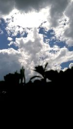 Silhouette of plants against cloudy sky