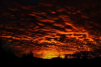 Silhouette of trees against sky during sunset