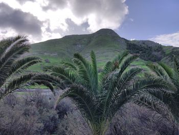 Scenic view of tree mountains against sky