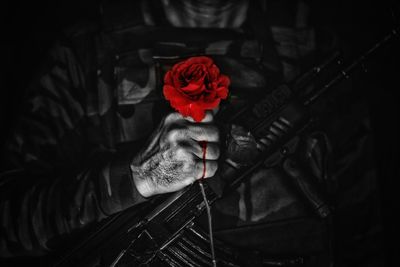 Person holding red rose