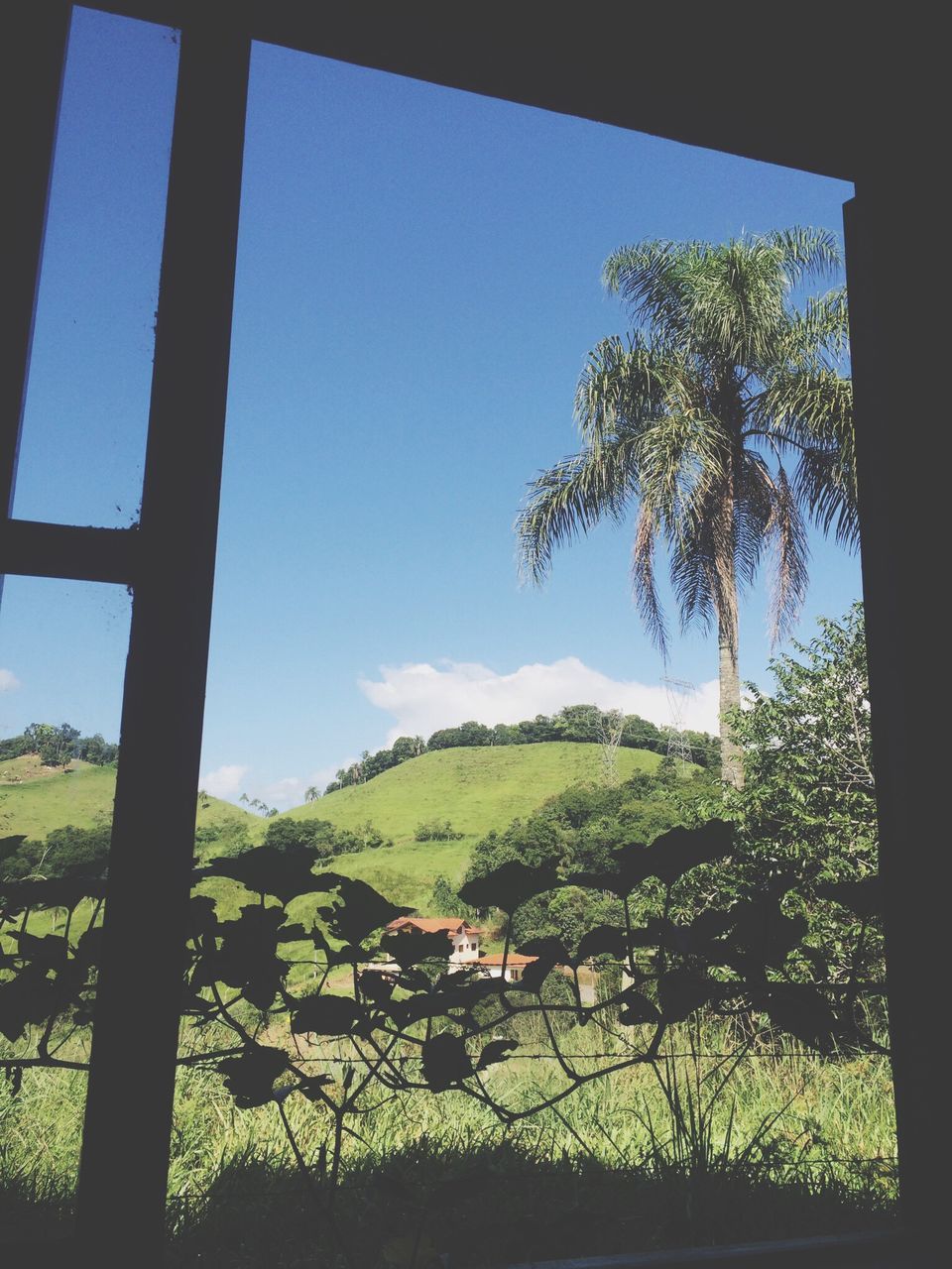 tree, landscape, mountain, tranquil scene, tranquility, green color, scenics, sky, nature, field, growth, beauty in nature, grass, indoors, blue, clear sky, window, day, green, mountain range