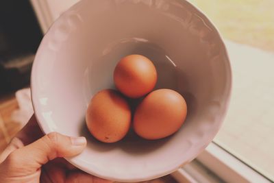 High angle view of hand holding eggs in plate