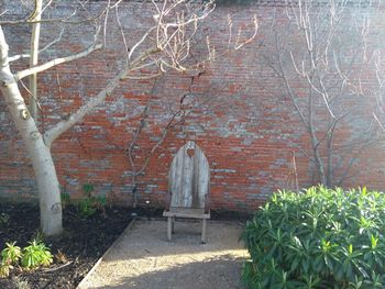 View of trees against wall