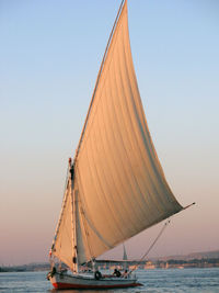 Sailboat sailing in sea against clear sky