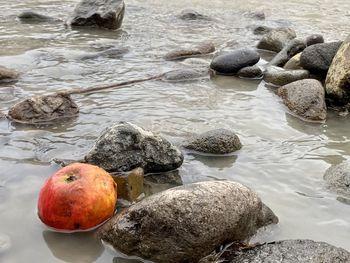 Apple in a river