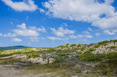 Scenic view of field against sky