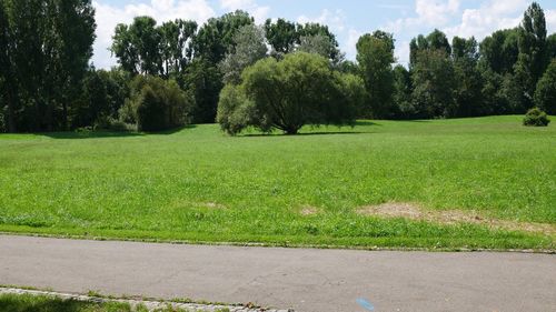 Scenic view of field against sky at park