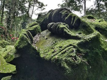 Scenic view of rocks in forest against sky