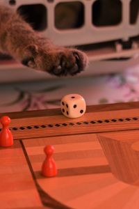 Close-up of cat playing with dice on table