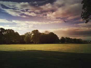 Scenic view of landscape against cloudy sky