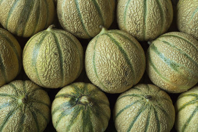 Full frame shot of cantaloupes