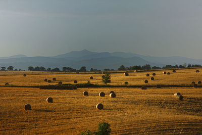 Hay bales on field against sky