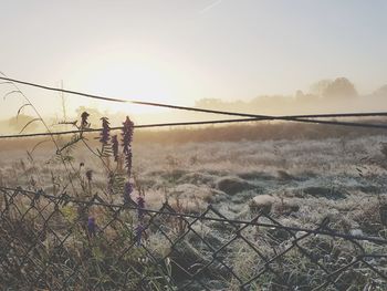 Barbed wire on grass against sky during sunset