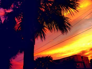 Low angle view of silhouette trees against sky at sunset