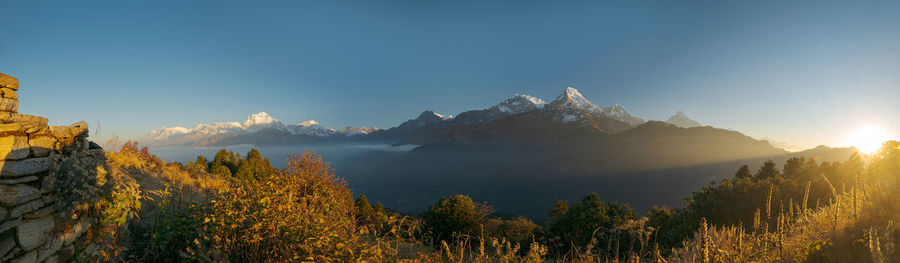Panoramic view of trees and mountains against clear sky