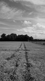 Road passing through forest