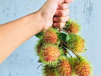 Close-up of hand holding fruit