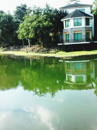 Reflection of trees in water