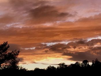Low angle view of silhouette trees against dramatic sky