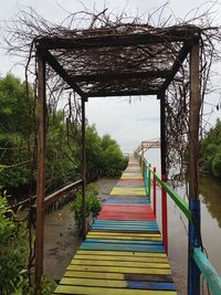 Empty footbridge along trees