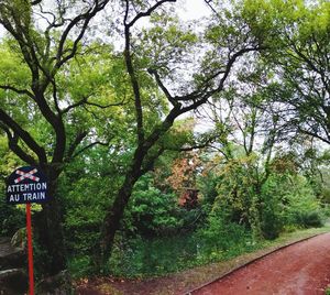 Road sign by trees