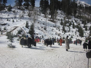 People on snow covered trees against sky