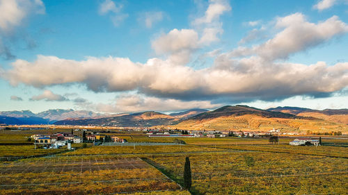 Panoramic view of agricultural field against sky
