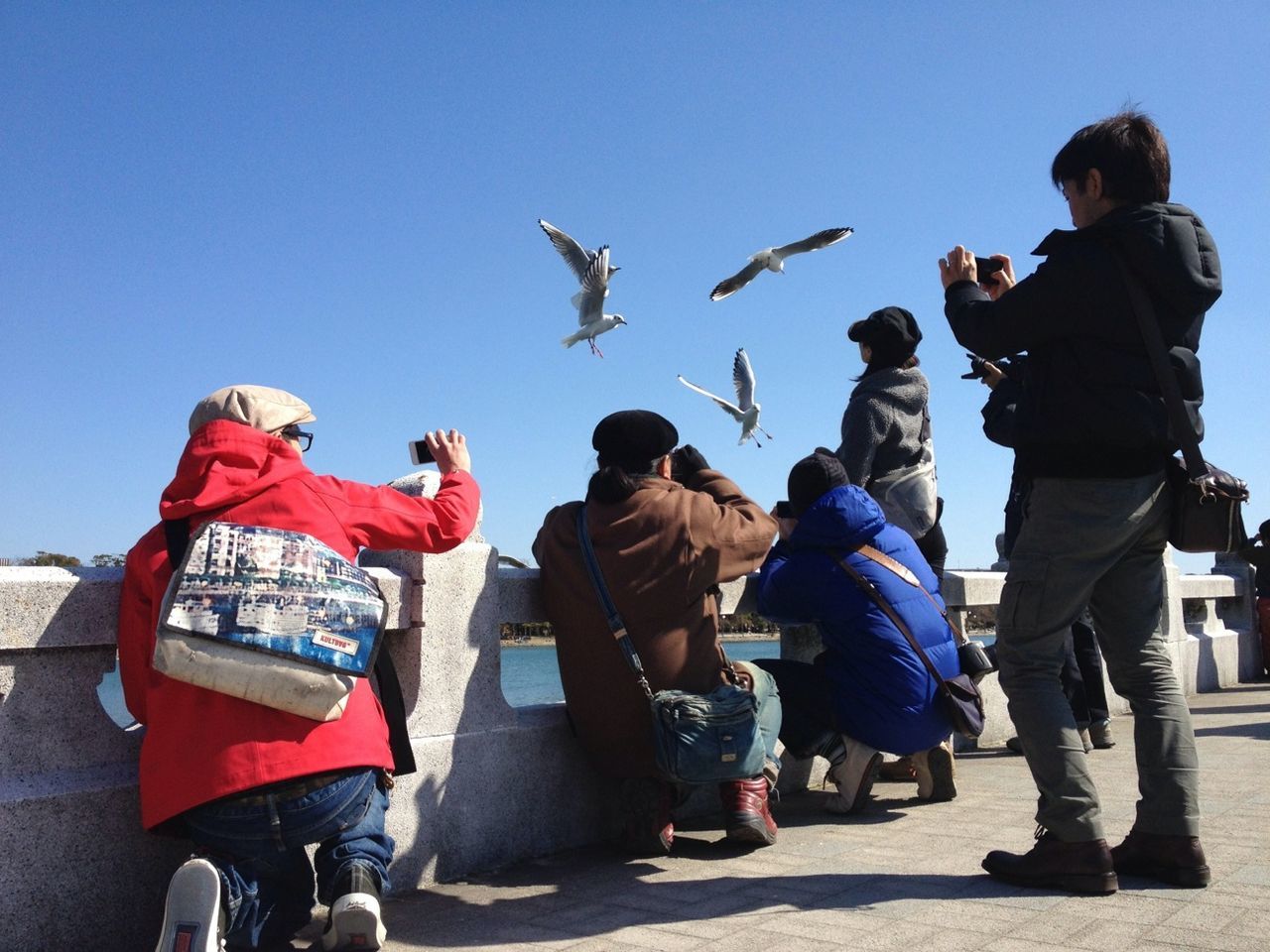 togetherness, men, lifestyles, leisure activity, casual clothing, person, full length, clear sky, large group of people, rear view, childhood, medium group of people, girls, day, boys, walking, bonding