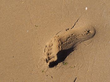 High angle view of footprints on wet sand