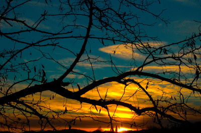 Silhouette bare tree against sky during sunset