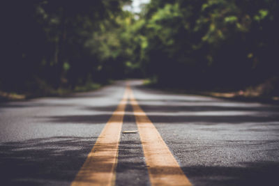Surface level of road along trees