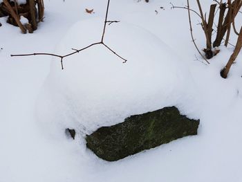 Snow on field during winter