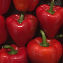 Close-up of red bell peppers for sale in market