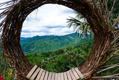 Scenic view of palm trees on landscape against sky