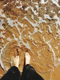 Low section of person standing on sand at beach